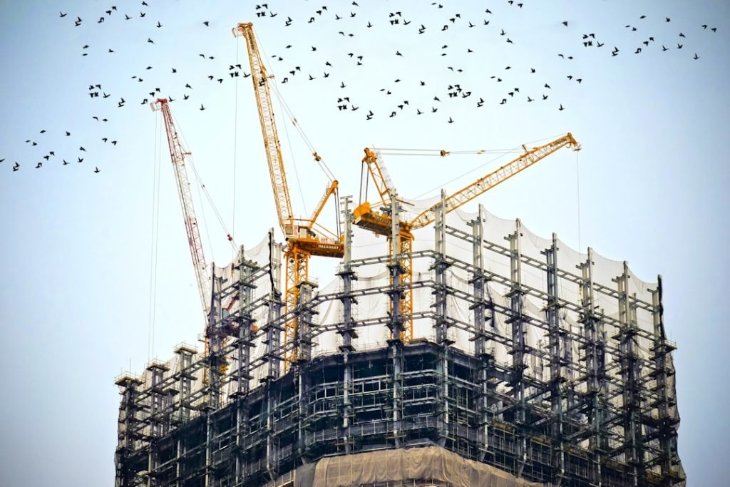 Construction site birds